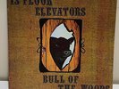 Thirteenth 13th Floor Elevators 