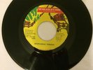 Rare Reggae -Pinchers Increase My Knowledge Killer Digi Reggae