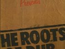 KING TUBBY THE DUB MASTER / ROOTS OF DUB / EX+