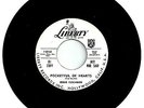 EDDIE COCHRAN Rockabilly 45-Single 