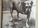 original 1995 ALICE IN CHAINS S/T 12