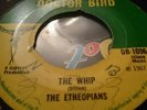 DOCTOR BIRD BOSS   ETHIOPIANS  THE WHIP   COOL IT   SKINHEAD REGGAE ROCKSTEADY
