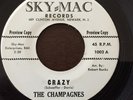 RARE Doo Wop/Group (45) THE CHAMPAIGNES 