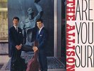 The Allisons – Are You Sure – Fontana STFL 558 – LP Vinyl Record