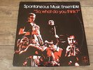 Spontaneous Music Ensemble - So What Do You Think ? 1973 UK LP TANGENT