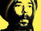 CONGO NATTY - JUNGLE REVOLUTION IN DUB VINYL LP NEU