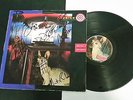 Midnight Oil Signed EP / LP Vinyl RARE OZ, 1985, CBS EX/EX