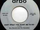 RAY MURRAY & The DYNAMICS 45 Baby What Do You Want Me To Do ARBO DOO WOP e3975