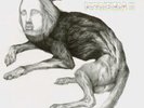 Thee Oh Sees - Putrifiers II EP Vinyl NEW sealed.