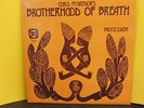 LP: Chris McGregor's Brotherhood Of Breath Procession OGUN 1978 - Rarität