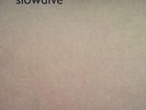 SLOWDIVE - Hide Yer Eyes LP - black vinyl - new copy - I Saw The Sun