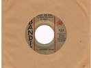 Bandit C. VAUGHN LESLIE What we need Great soulful North Carolina sound