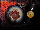 RARE 1969 ORIG   THE GIANT CRAB - COOL IT - CONCEPTUAL PSYCH POPSIKE TEA COMPANY