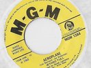 JETHRO TULL / Sunshine Day - Aeroplane / Single MGM 1384 (UK)