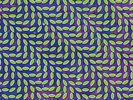 Merriweather Post Pavilion - 2 DISC SET - Animal Collective (2009, Vinyl New)