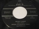 Rockabilly/Blues: DOSSIE THUNDERBIRD TERRY- Skinny Ginny/Fool Mule 45 AMP 2113