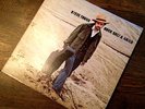 STEVE YOUNG - Rock Salt & Nails LP Vinyl 1969 A&M SP-4177 Gram Parsons Bob Dylan