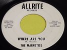 Magnetics 