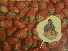 Chuck Berry - One Dozen Berrys   1958 Mono Chess Label