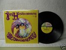 Jimi Hendrix LP Are You Experienced Rare Mono 1967 Psych Rock Guitar Orig