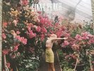 Wolf Alice Giant Peach Vinyl