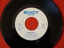 RARE SOUL FUNK 45 SCACY AND THE SOUND SERVICE Sunshine Pt 1&2  listen mp3