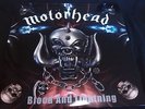 MOTORHEAD Blood And Lightning LIVE 2015 Glastonbury LP RARE CLEAR GRAY VINYL