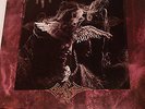 Morgoth  - Cursed LP Original Century Media 1991 - Very Good +