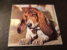 Duffy Just In Case You're Interested Prog Psych Original ARIOLA 1ED A1/B1 FOC