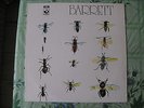 Syd Barrett BARRETT textured Cover No Emi Label 1st Pressing