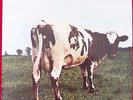 Pink Floyd Atom Heart Mother LP Rare Israel PR VG+/VG+ SHVL 781 Portrait