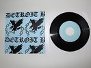 Detroit Birdz RARE Tour Pre-Press EP RZL DZL Stop and Think Detroit SXE Freedom