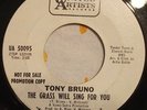 Northern Soul Beat Ballad - Tony Bruno ' And the grass will sing for you ' UA 45