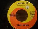 BRIAN WILSON---CAROLINE, NO   (Male Artist)