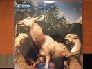 NEW SEALED Our Love to Admire by Interpol (Vinyl, Jul-2007, Capitol)