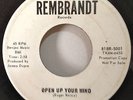 Nuchez's 1966 Open Up Your Mind Rembrandt 5001 Rare Promo Garage Acid Psych EX