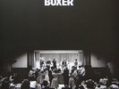 The National Boxer ON YELLOW VINYL NEW OVP Beggars Banquet Vinyl LP & MP3