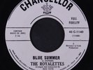 ROYALETTES: Blue Summer / Willie The Wolf 45 (dj) Vocal Groups