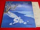 LP ITALIAN PROG LOCANDA DELLE FATE - FORSE LE LUCCIOLE NON SI AMANO PIU'