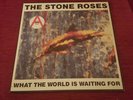 The Stone Roses: Fools Gold/What the World  12