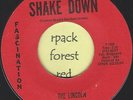 THE LINCOLN TRIO - Shake Down  - FASCINATION  - Detroit Soul   7