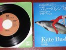 Kate Bush Symphony In Blue, Full House Japan 7