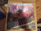 Here Comes the Indian [LP] by Animal Collective (Vinyl, Jun-2004, Paw Tracks)