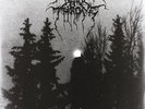 Darkthrone - Panzerfaust [Vinyl New]