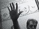Driving Rain by Paul McCartney (Vinyl, Aug-2003, EMI Music Distribution)