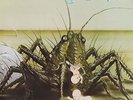 Birth Control - Operation LP - Gatefold - Sealed - NEW COPY