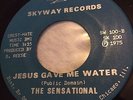 Gospel Sweet Soul Harmony 45 - The Sensational - 'Jesus gave me water