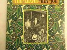 The Leaves  -  Hey Joe  -  Vintage Mono Pressing