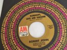 Robert John 'Raindrops Love and Sunshine' RARE Northern Soul 45 Record