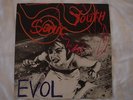 Sonic Youth,EVOL vinyl 12